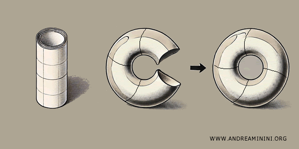 contoh torus
