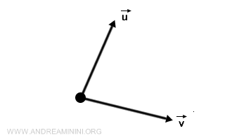 bir başka vektör örneği